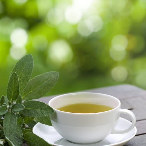 Взаимосвязь между зеленым чаем и потенцией